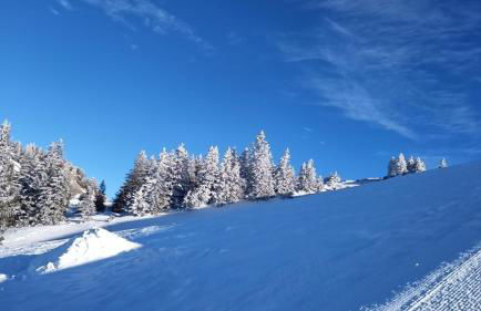 Le Repaire du Loup blanc - Foto 42