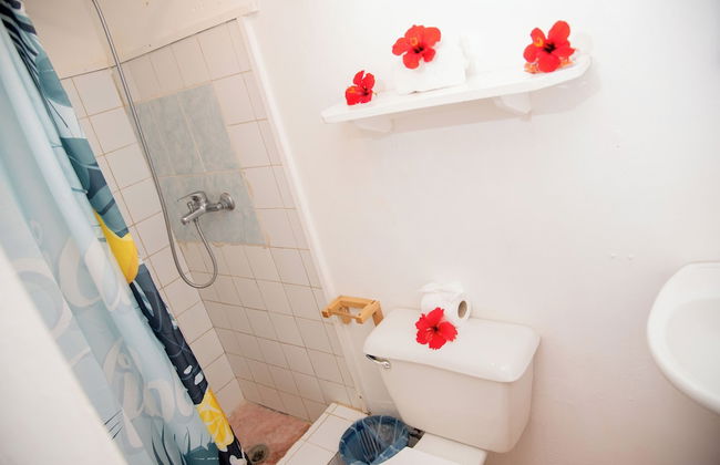 Las Mariposas - Foto 51