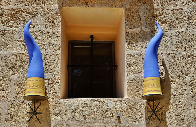 Biomasseria Muto - Foto 45