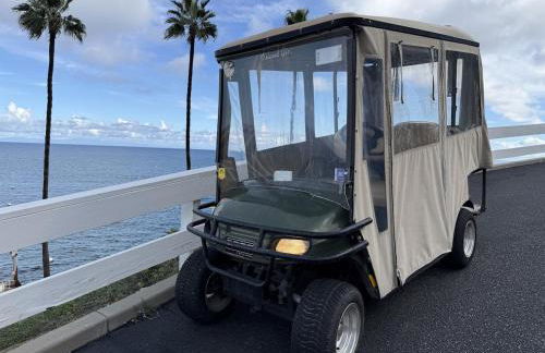 Immaculate Corner Condo with Golf Cart Just Steps to Beach - Foto 19