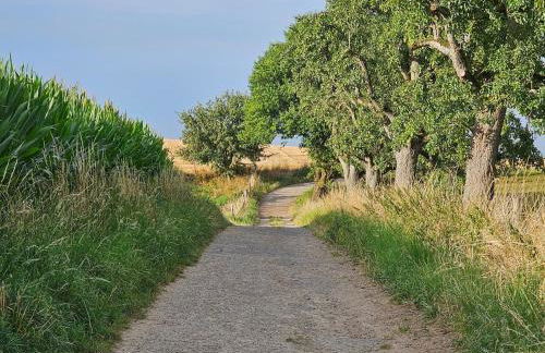 Gartenglück, entspannt wohnen am Obstwanderweg - Foto 29