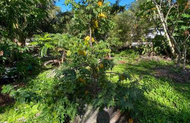 Ocean View with Pool, 4 bedroom Vila Near Key West - Foto 20