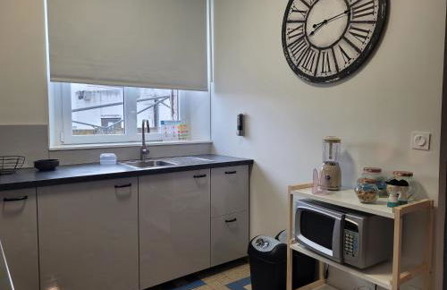 Appartements de Diane - JOIGNY - Foto 41