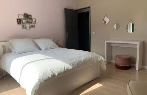 Magnifique Villa classée 4* meublé de tourisme - Foto 17