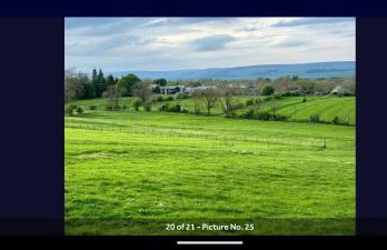 Keys Crossed Farm - Photo 14