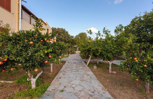 Holiday Rooms - Foto 20