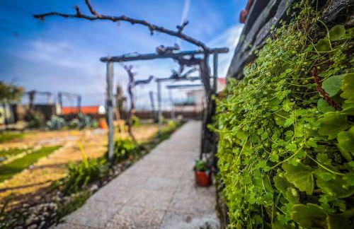 Casa da Muralha - Foto 78