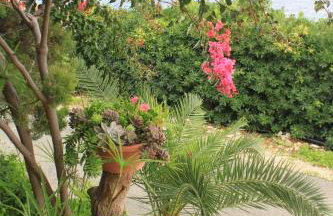 Apartments by the sea Milna, Vis - 8917 - Photo 14