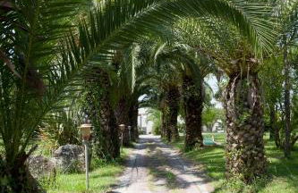 Agriturismo Costantino - Foto 77