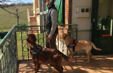 La Masía de Navas - Photo 32