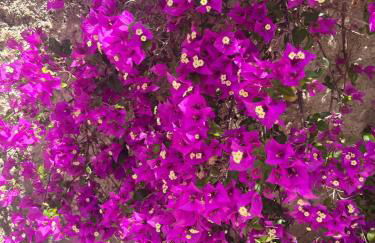 Casa rural frente al mar La Toscana - Foto 27