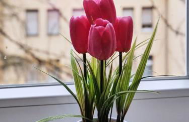 Apartment SCHILLER II - Erfurt Zentrum - Foto 28