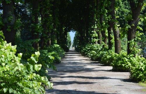 Residence Podere San Marco Monolocali e Bilocali - Foto 38