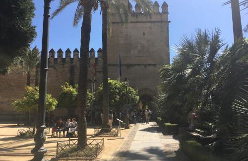 La Condesa de Vallellano - Foto 42