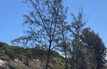 Casa em Praia Seca com Quintal - Foto 19