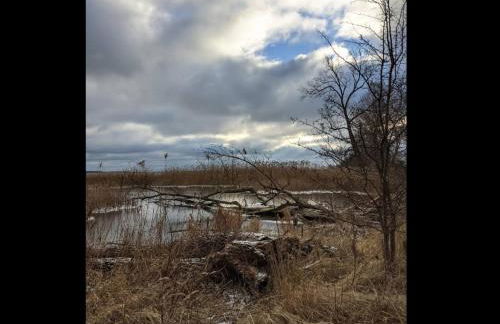 Chalet in Wendorf - Photo 30