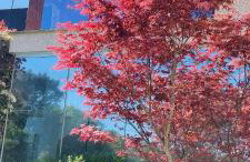 Casa El Castañal con Piscina Privada - Foto 61