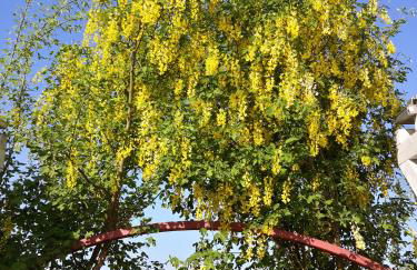 Agriturismo Lama Di Valle Rosa - Photo 82