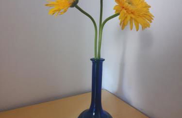 Home In The Blue - Foto 16