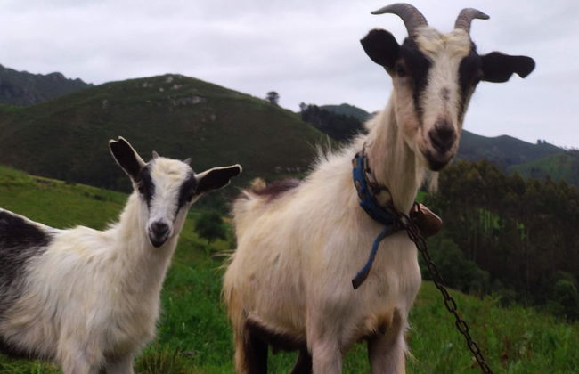 El Interior De Gaia - Foto 31