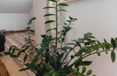 Apartman Lara - Photo 24