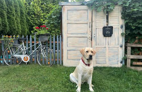 Dom wakacyjny w Kiersztanowie Ładnie Tu - Foto 38