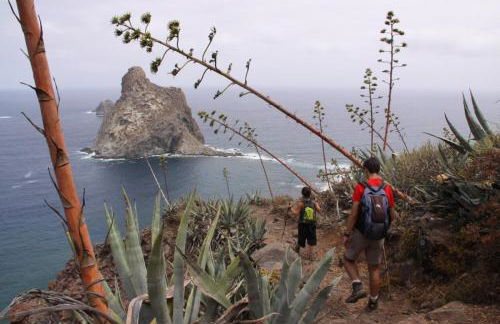 Bajamar Armonia Park - Foto 12