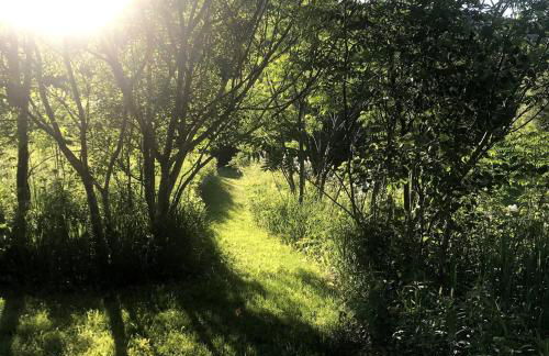 Entire Enchanting, Light-Filled 1830 Farmhouse - Foto 73