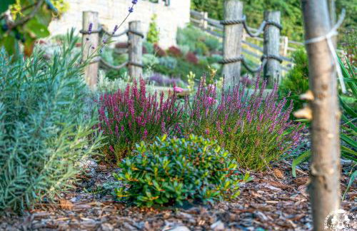 Agroturystyka Corno Owca - Foto 42