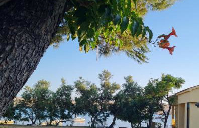 Apartments by the sea Dinjiska, Pag - 9386 - Foto 7