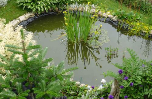 Apartment in Eibenstock 30354 - Foto 9