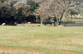 Quinta da Boa Vista São Chico - Foto 20