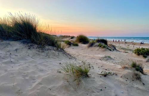 Apartamento Disfruta la Safor ,Oliva Nova - Foto 25