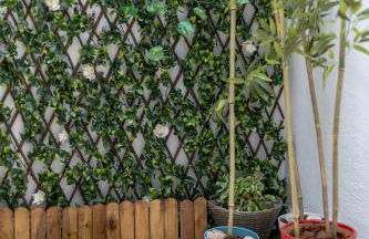 Che Loft! Artes y Ciencias - Photo 22