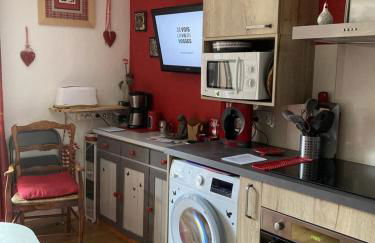 Beau studio plus, tout confort, classé 3 étoiles par le comité départemental du tourisme de la Haute Garonne - Foto 3