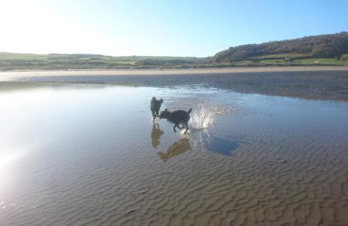 Blaenfforest Rose Cottage Newcastle Emlyn - Photo 22