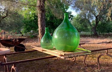 Il Trullo di Francesca - Foto 36