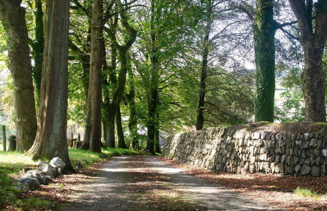 Stunning 6-bed House With Huge Garden on Dartmoor - Foto 40