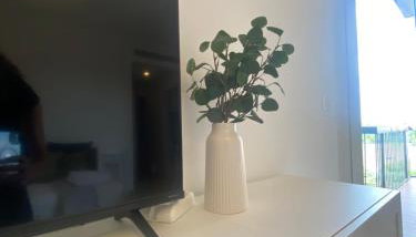 GREEN House - Foto 1
