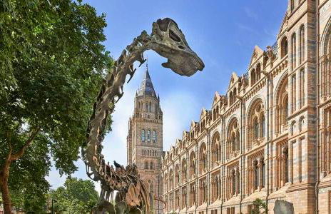 Charming and Full Of Character Apartment - Foto 22