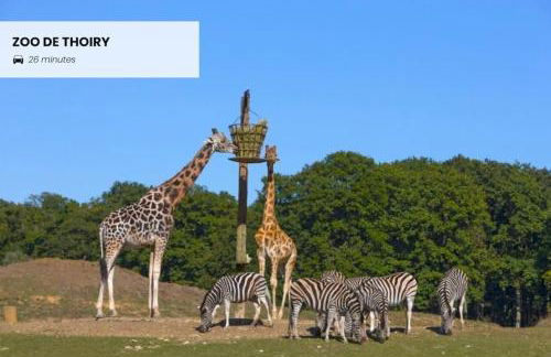 Charmant T2 avec balcon - Golf National à 5 min - Foto 26