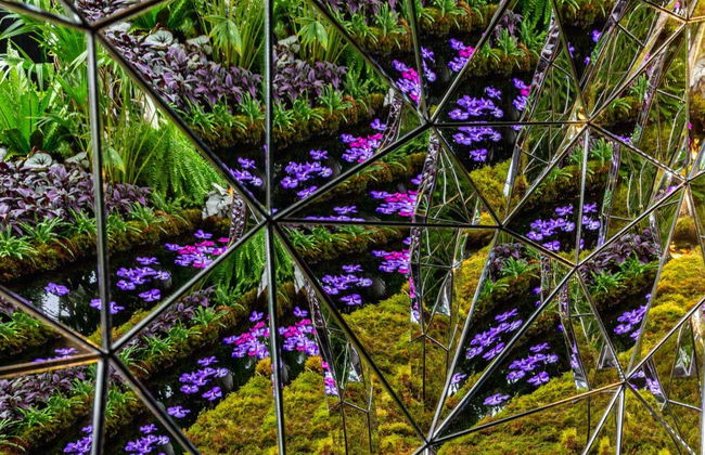 Entrada al Jardín Botánico de Nueva York - Foto 1