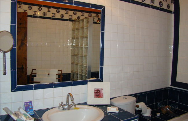 Finca Dehesa Tres Riveros - Foto 67