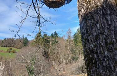 Ma gimeloise - Foto 12