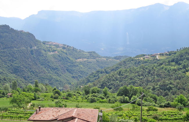 La Tartufaia - Foto 28