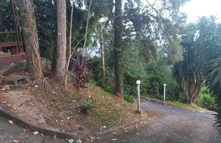 SÍTIO ALTO DA COLINA - Foto 7