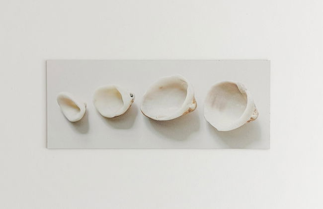 Residenza Excelsior 702 - Foto 27