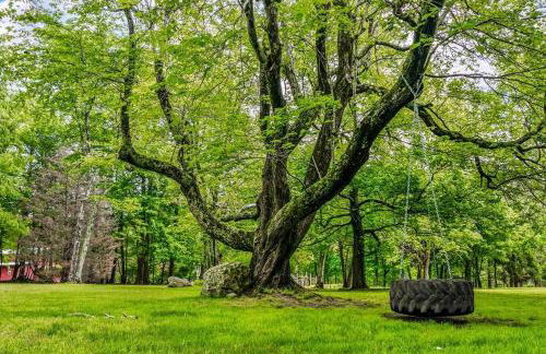 Faith Family Farmhouse on Farm in Mentone, Alabama - Foto 17