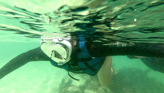 Snorkeling alla spiaggia di Sepultura + Bombinhas - Foto 3