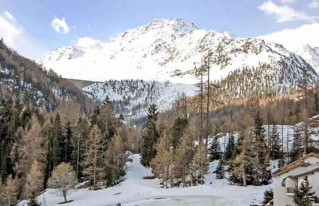 Rosablanche B22 - Foto 17